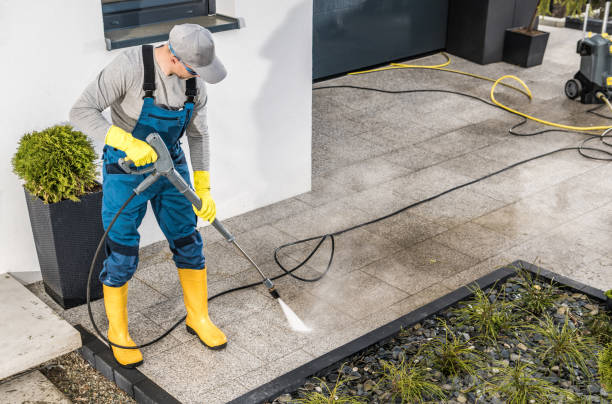 Best Roof Pressure Washing  in Rockvale, TN